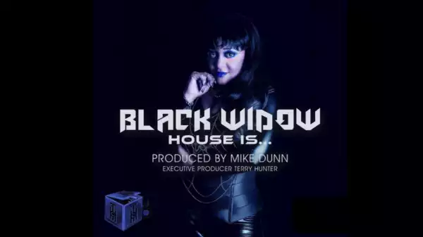 Black Widow, Mike Dunn - House Is (Mike  Dunn BlackBall Vokal MixX)
